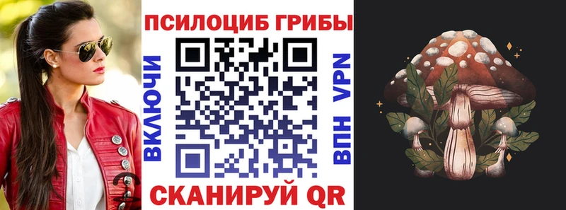 Галлюциногенные грибы Cubensis KRAKEN маркетплейс Покачи